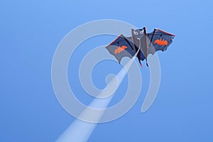 Kite bat photo